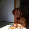 lindahilbert522 - @lindahilbert522 - TikTok