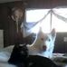 Linda Hoeft - Facebook