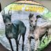 Linda Hoffert - Facebook