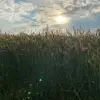 lindahoffart - @lindahoffart - TikTok