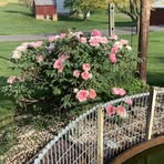 Linda Hostler - Facebook