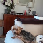 Linda Jefferies - @linda.jefferies.5011 - Instagram