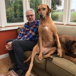 Linda Johnstone - @livingwithridgebacks - Instagram