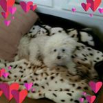 Linda Johnstone - @linda.johnstone.75 - Instagram