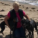 Linda Johnstone - @lind.aj - Instagram