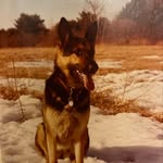 Linda Karner - @karnerlinda - Instagram