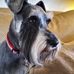 Linda Kaster - Facebook