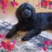 Linda Kellerman - Facebook