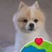 Linda Kellerman - Facebook