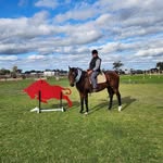 Linda Kennett - @buclindy - Instagram