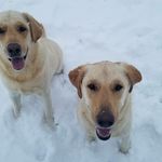 Linda Ketcham - @lindaketcham - Instagram