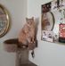 Linda Killinger - Facebook