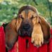 Leonard Linda Knuckles - Facebook