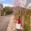 Lin đa - @lindakull0707 - TikTok