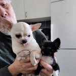 Linda Kullberg - @lindakullberg3 - Instagram