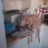 Linda Kullberg - @lindakullberg8 - TikTok