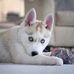 Linda Ladet - Facebook