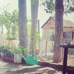 Linda Laforge - @gastropodgarden - Instagram