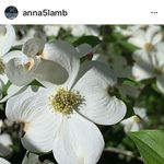 Linda Lambeth - @lindalambeth - Instagram
