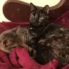 lindalarcom712 - @lindalarcom712 - TikTok