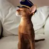 Linda Largey - @linda.largey - TikTok