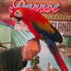 lindalarge417 - @lil_rabbit2010 - TikTok