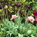 Linda Leith - Facebook