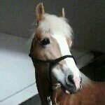 linda16 - @linda__siegesleitner - Instagram