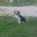 Linda Leming - Facebook