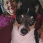 Linda Lemmon - Facebook