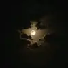 linda Lemus - @lindalemus72610 - TikTok