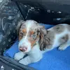 Linda Lenhardt - @linda.lenhardt1 - TikTok