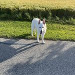 Linda Leonhardt - @leonhardt795 - Instagram