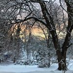 Linda Leonhardt - @linfrompa - Instagram
