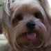 Linda Leonhardt - Facebook