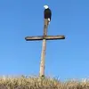 lindalepak - @lindalepak - TikTok