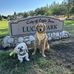 Linda Leppert - Facebook