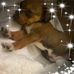 Linda Leppert - Facebook
