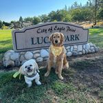 Linda Leppert - @leppert9419 - Instagram