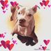 Linda Letsch - Facebook