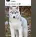 Linda Luck - Facebook
