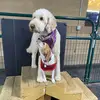 Luey - @lindalueck - TikTok