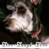 Linda Lockner - @linda.lockner - TikTok