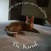 Linda Malott - @linda.malott0 - TikTok