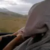 lindamancinellii - @linda.mancinelli - TikTok