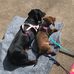 Linda Mandeville - Facebook