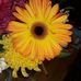 Linda Mandeville - Facebook