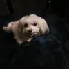 Linda Sue Mandeville - @lindasuemandeville - TikTok
