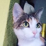 linda manfred tekate - @lindamanfredtekate - Instagram