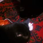 Linda Manson - @linda.manson.338658 - Instagram